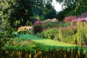 Композиции из цветов Композиции из цветов